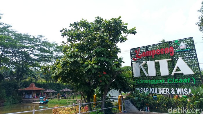 Potensi Ekonomi Mangrove Desa Sedari: Pendapatan Lebih dari 100 Juta